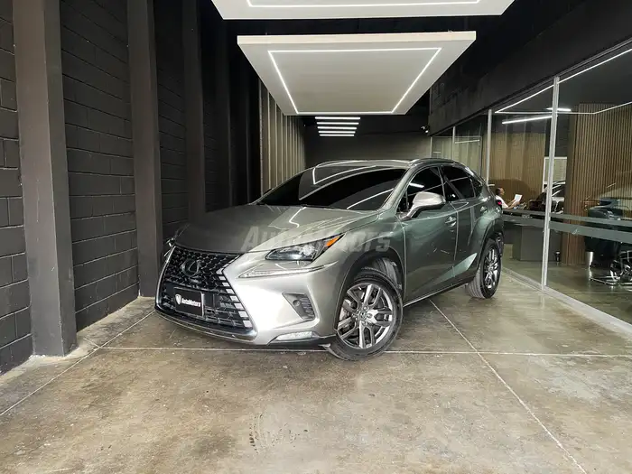 2021 Lexus NX — 1