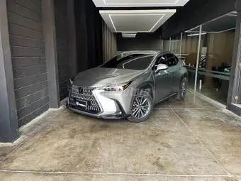 2024 Lexus NX