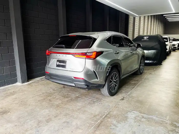 2024 Lexus NX — 2