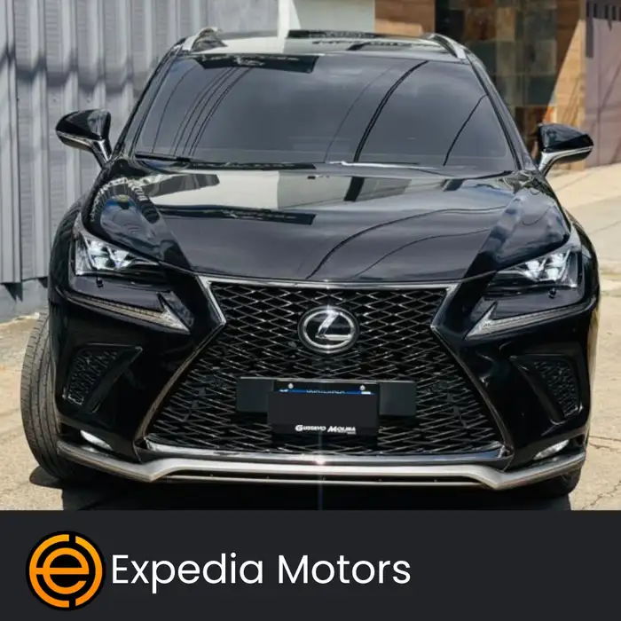 2019 Lexus NX — 2