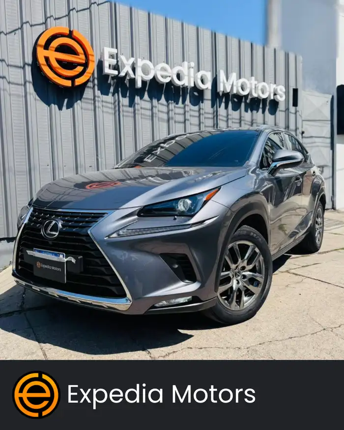2020 Lexus NX — 1