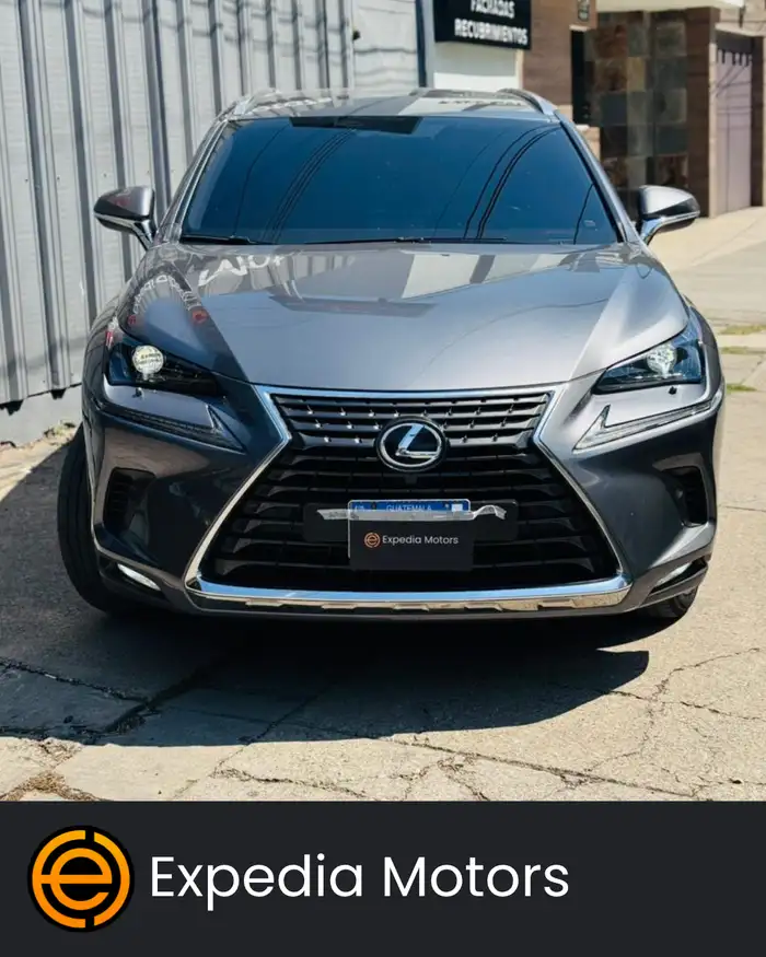 2020 Lexus NX — 2