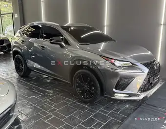 2021 Lexus NX300