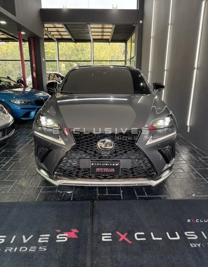 2021 Lexus NX300 — 2