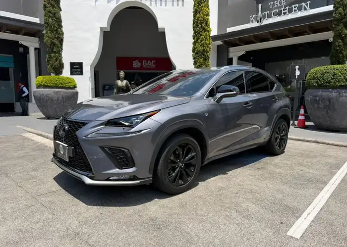 2021 Lexus NX — 1
