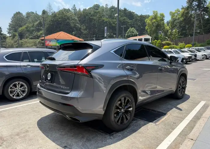 2021 Lexus NX — 4