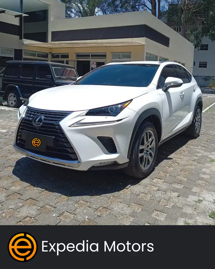 2022 Lexus NX — 1