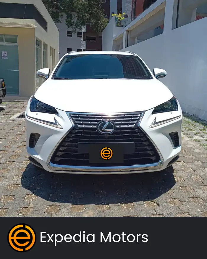 2022 Lexus NX — 2
