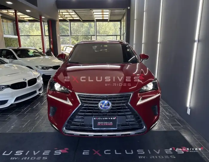 2022 Lexus NX — 2