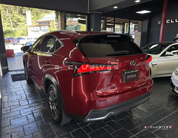 2022 Lexus NX — 4