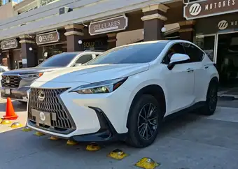2024 Lexus NX