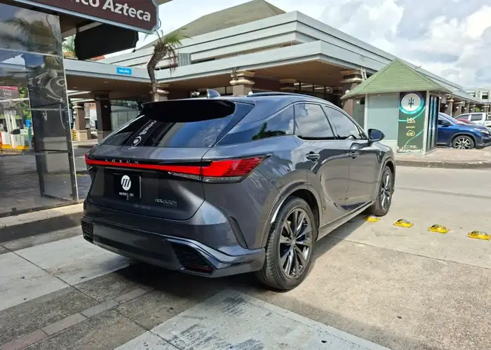 2025 Lexus RX — 4