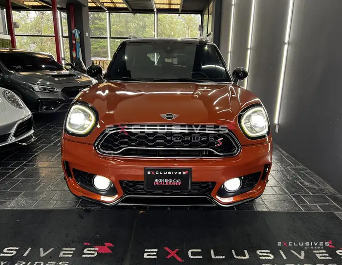 2019 Mini COUNTRYMAN — 2