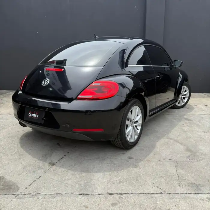 2016 Volkswagen BEETLE — 4